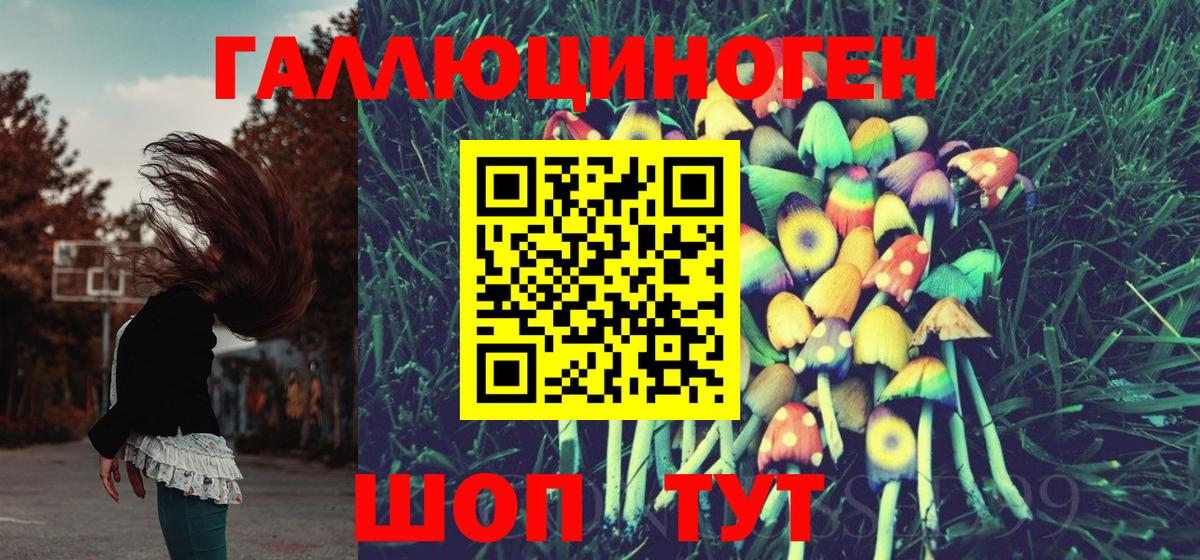 Родники  Галлюциногенные грибы Psilocybine cubensis  Вход с VPN 